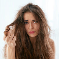 Dry and Damaged Hair