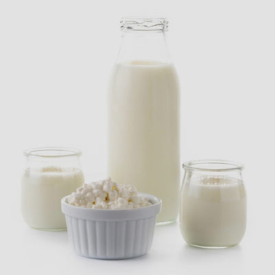 buy milk kefir online in pakistan at best prices from the natures store