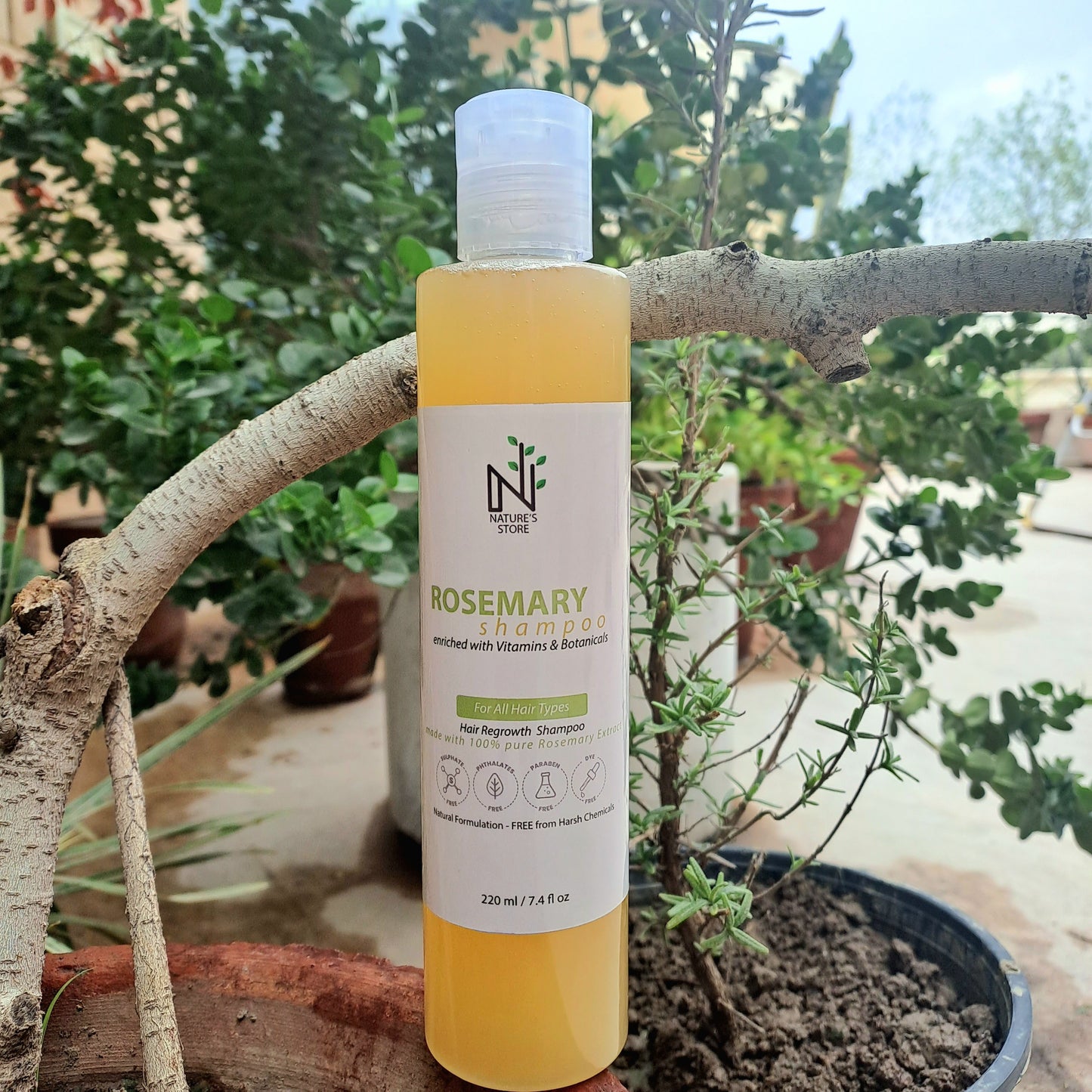 Best Organic Shampoo in Pakistan