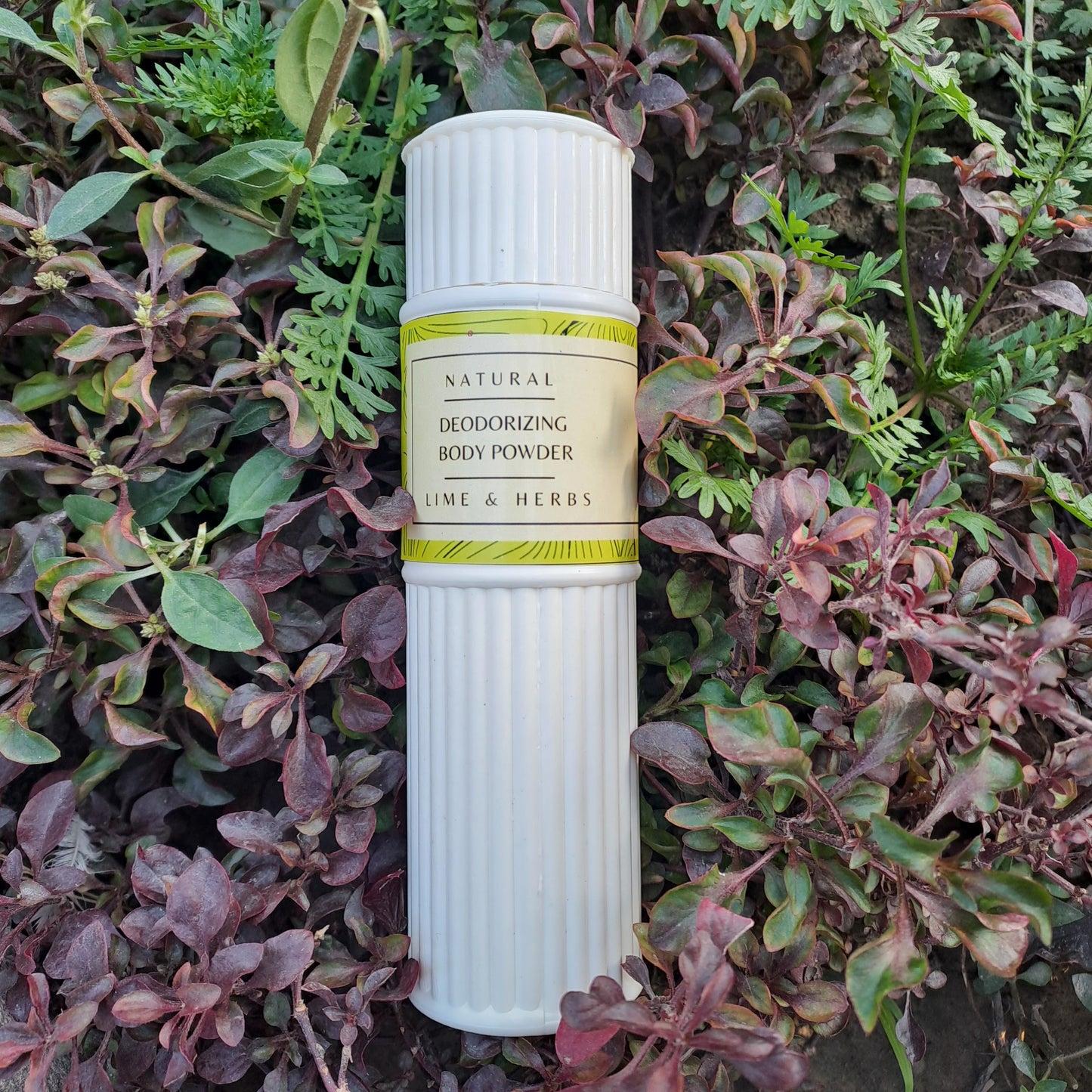 Buy Citrusy Deodorizing Powder from Soap Therapy at the Best Prices online in Pakistan, Quick Delivery and Easy Returns only at The Nature's Store, Best organic and natural Deodorant and Deodorant, Earthly Essentials (Brand), Underarms Odor/Sweating (Concern) in Pakistan,