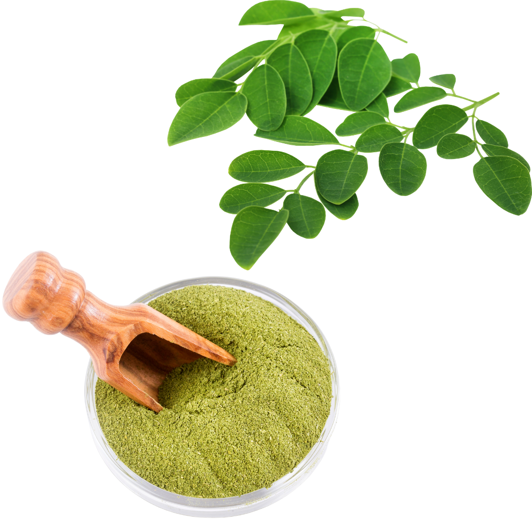 Moringa Tea - Powder