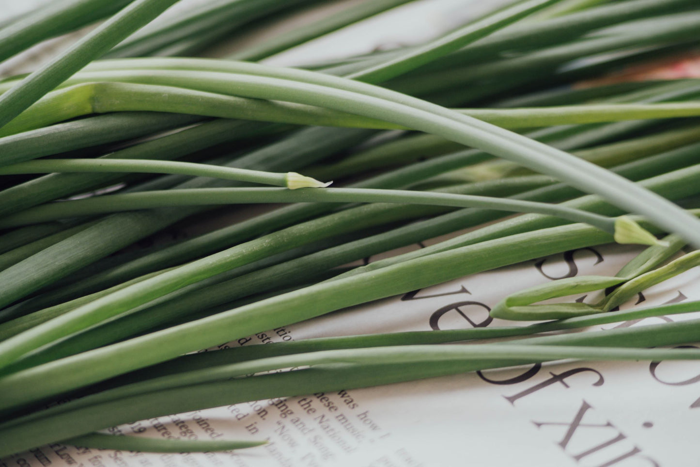 Buy Organic Lemongrass Essential Oil from Wholesale Market at the Best Prices online in Pakistan, Quick Delivery and Easy Returns only at The Nature's Store, Best organic and natural Essential Oils - Wholesale and Essential Oils in Pakistan,