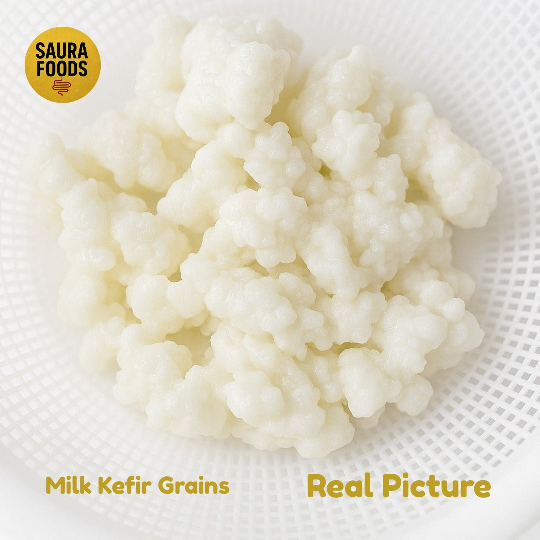 Active MILK Kefir Grains