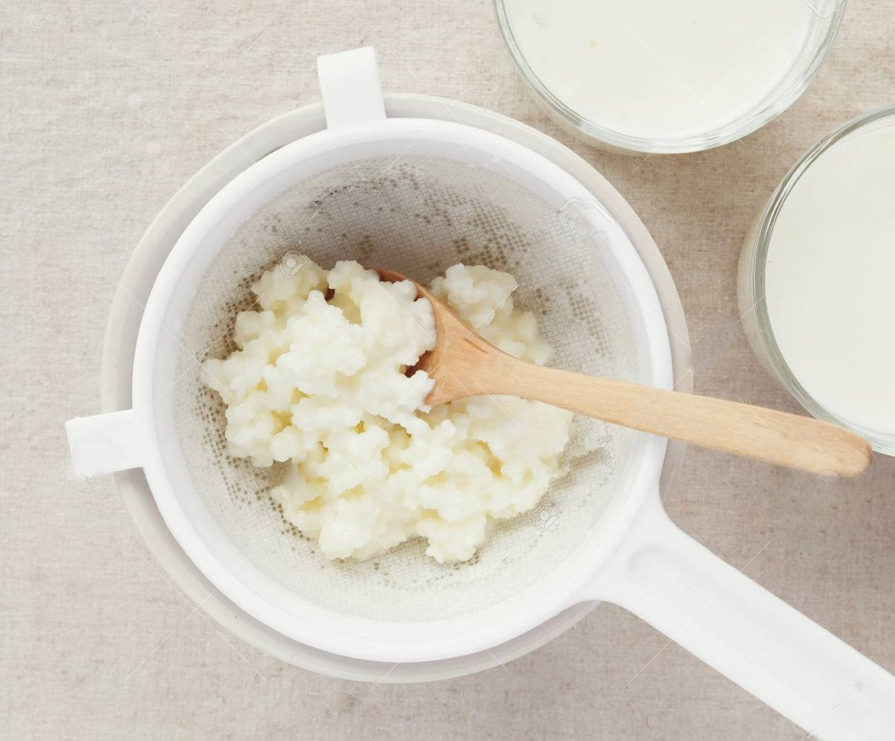 Buy Active MILK Kefir Grains from The Nature's Store at the Best Prices online in Pakistan, Quick Delivery and Easy Returns only at The Nature's Store, Best organic and natural Probiotics and Kefir in Pakistan,