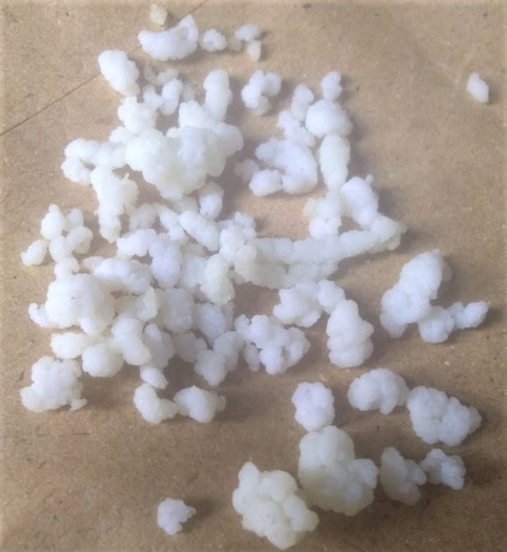 Buy Dehydrated Milk Kefir Grains from The Nature's Store at the Best Prices online in Pakistan, Quick Delivery and Easy Returns only at The Nature's Store, Best organic and natural Probiotics and Kefir in Pakistan,