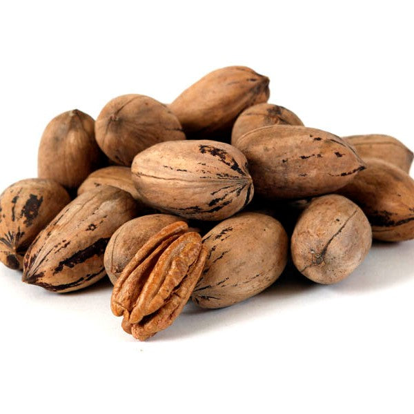 Buy Pecan (with shell) - Free Delivery from Chaman Dry Fruits at the Best Prices online in Pakistan, Quick Delivery and Easy Returns only at The Nature's Store, Best organic and natural Nuts & Dry Fruits and Other Nuts & Spices in Pakistan,