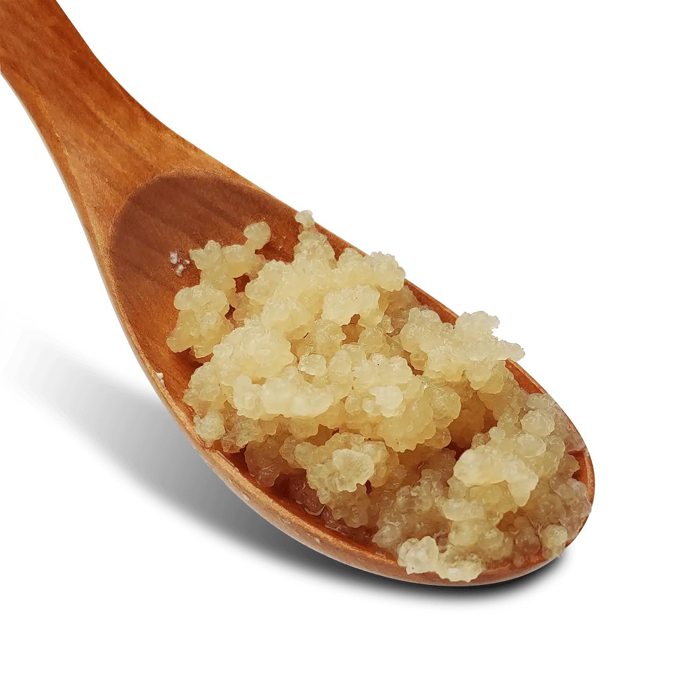 Buy Active Water Kefir Grains from The Nature's Store at the Best Prices online in Pakistan, Quick Delivery and Easy Returns only at The Nature's Store, Best organic and natural Probiotics and Kefir in Pakistan,