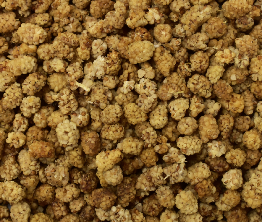 Buy Dried Shatoot (Mulberry) - Free Delivery from Chaman Dry Fruits at the Best Prices online in Pakistan, Quick Delivery and Easy Returns only at The Nature's Store, Best organic and natural Nuts & Dry Fruits and Dehydrated Fruits in Pakistan,