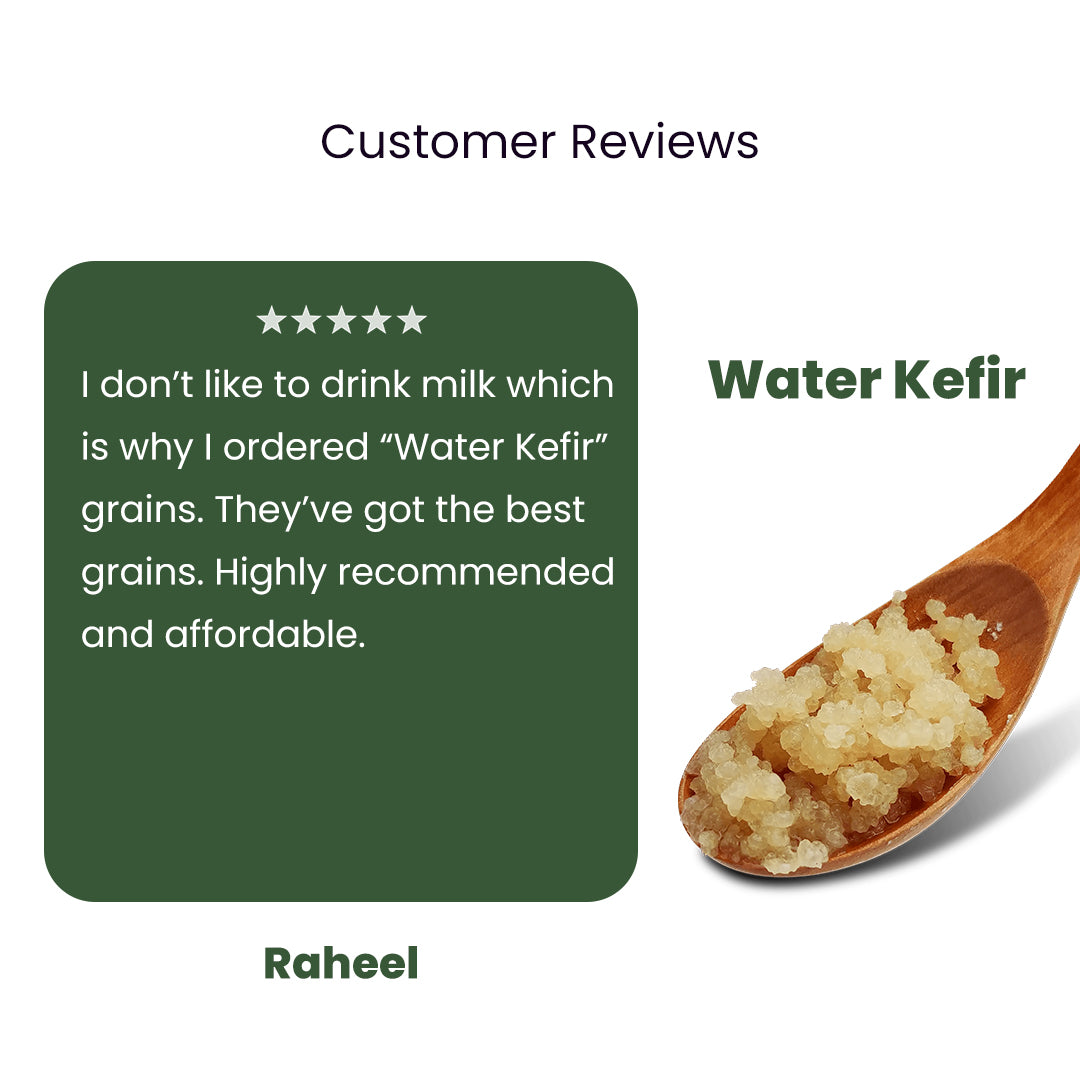 Buy Active Water Kefir Grains from The Nature's Store at the Best Prices online in Pakistan, Quick Delivery and Easy Returns only at The Nature's Store, Best organic and natural Probiotics and Kefir in Pakistan,