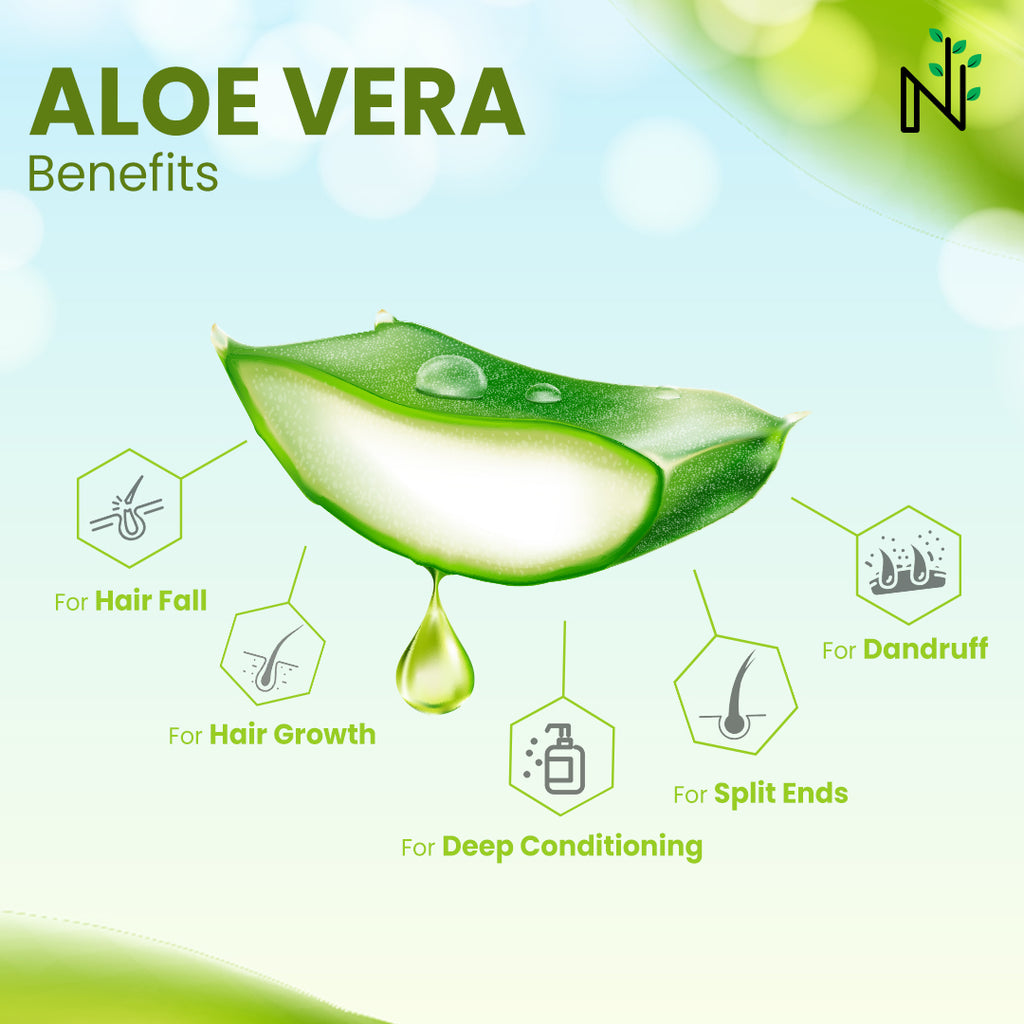 Aloe Vera for Hair: Benefits, Risks, and How to Use it for Healthy Hair Growth