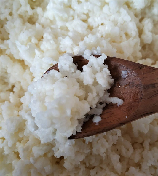 What are Active Milk Kefir Grains?