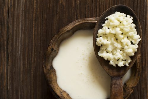 Buy Kefir Grains Online in Pakistan