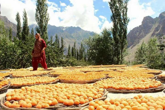 Skardu Dry Fruits