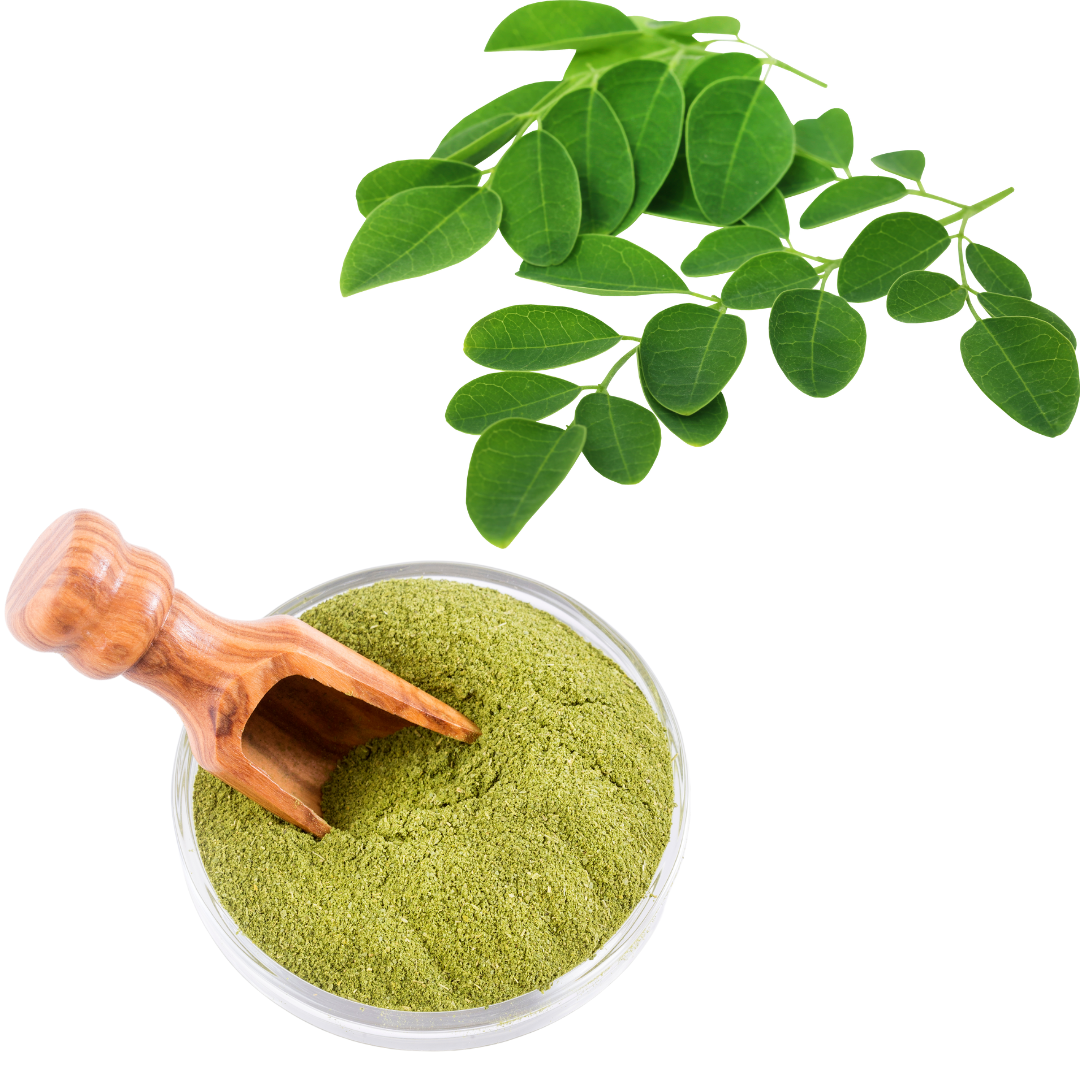 Moringa Tea