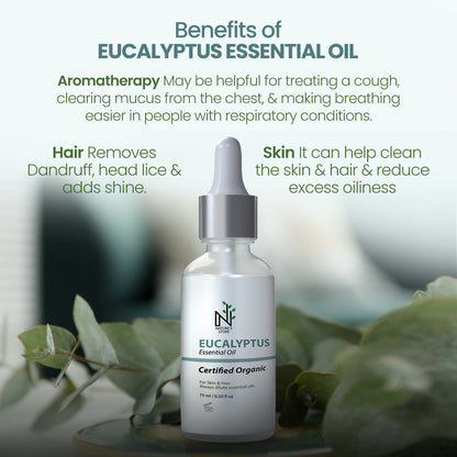 Benefits of using Eucalyptus Essential Oil