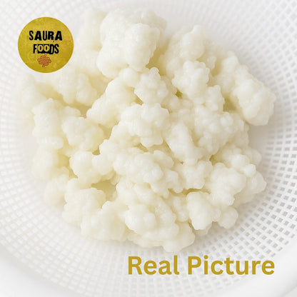 Active MILK Kefir Grains
