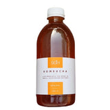Buy Kombucha from SGH at the Best Prices online in Pakistan, Quick Delivery and Easy Returns only at The Nature's Store, Best organic and natural Probiotics and Kombucha in Pakistan, 