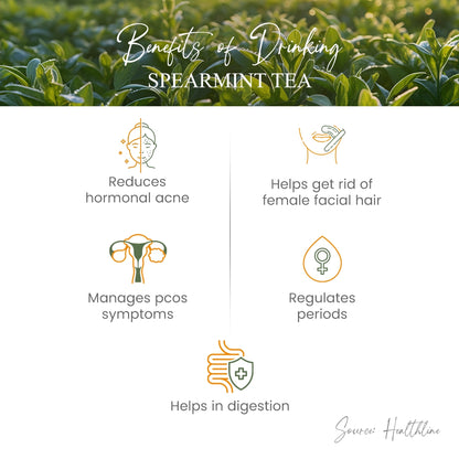 benefits of spearmint tea