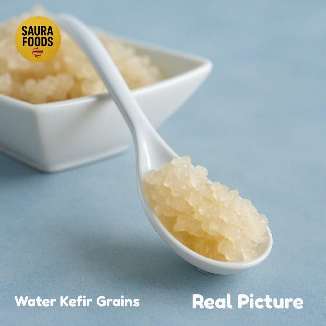 Active Water Kefir Grains