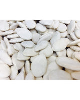 Buy Pumpkin Seed White Salted - Free Delivery from Chaman Dry Fruits at the Best Prices online in Pakistan, Quick Delivery and Easy Returns only at The Nature's Store, Best organic and natural Nuts & Dry Fruits and Pumpkin in Pakistan, Pumpkin Seed White Salted