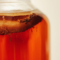 Buy Kombucha Scoby from The Nature's Store at the Best Prices online in Pakistan, Quick Delivery and Easy Returns only at The Nature's Store, Best organic and natural Probiotics and Kombucha in Pakistan, 