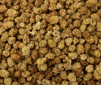 Dried Shatoot (Mulberry) - Free Delivery
