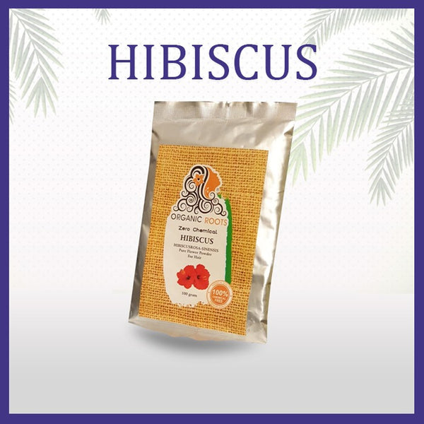 Buy Hibiscus Flower Powder | 100g from Organic Roots at the Best Prices online in Pakistan, Quick Delivery and Easy Returns only at The Nature's Store, Best organic and natural hair dye and Dry Powder in Pakistan, 