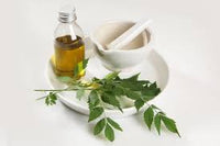 Buy Neem Oil from Wholesale Market at the Best Prices online in Pakistan, Quick Delivery and Easy Returns only at The Nature's Store, Best organic and natural Cold Pressed Oils - Wholesale and CArrier Oils in Pakistan, 