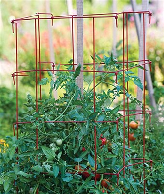 Buy XL Pro Series Cage - Red from Fresco Seeds at the Best Prices online in Pakistan, Quick Delivery and Easy Returns only at The Nature's Store, Best organic and natural Gardening Tools and Fresco Seeds (Brand), Gardening Tools in Pakistan, 