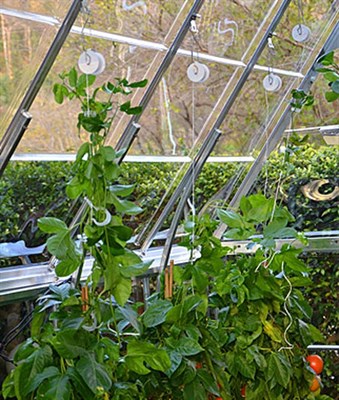 Buy Trellising Kit for Palram Greenhouses from Fresco Seeds at the Best Prices online in Pakistan, Quick Delivery and Easy Returns only at The Nature's Store, Best organic and natural Gardening Tools and Fresco Seeds (Brand), Gardening Tools in Pakistan, 