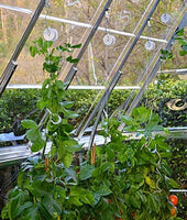 Trellising Kit for Palram Greenhouses