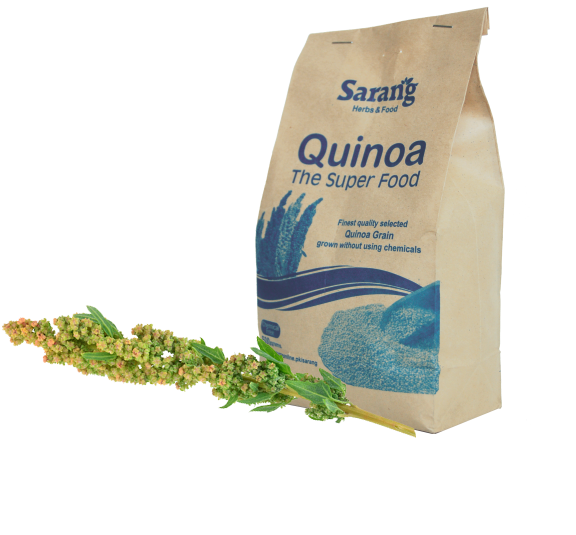 Buy Quinoa Grains - 0.5 KG from Sarang Herbs & Food at the Best Prices online in Pakistan, Quick Delivery and Easy Returns only at The Nature's Store, Best organic and natural Flour and Flour, Sarang Herbs & Food (Brand) in Pakistan, 